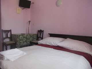 Отели типа «постель и завтрак» Bolimowianka Bolimów Двухместный номер с 1 кроватью или 2 отдельными кроватями-6